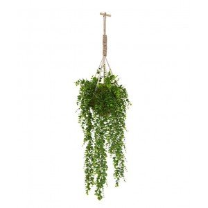 Wedden dat uw gasten naar deze sfeervolle Eucalyptus kunsthanger in mosbol blijven kijken? Dit nauwelijks van echt te onderscheiden kunst arrangement past helemaal in de urban jungle trend van nu. Bent u de volgende die met deze authentieke en zeer natuurlijk ogende Eucalyptusbol geniet van uw eigen verticale tuin? De kunstig nagemaakte Eucalyptus hanger bestaat uit 3 Eucalyptus hangplanten die in een kunst Mosbol zijn opgestoken. Samen met de Yula Macrame hanger vormt dit een bijzonder kunstarrangement met een tropisch en heel authentiek tintje. Het geheel wordt kant-en-klaar geleverd. U hoeft het hem thuis alleen nog maar op te hangen. De totale lengte van het arrangement is 100 cm. De breedte bedraagt ongeveer 30 cm.