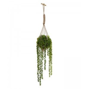 Wat dacht u van uw eigen urban jungle met deze Senecio Pearl kunsthangplanten in mosbol? Dit arrangement is van onder tot boven zo kunstig en natuurgetrouw nagemaakt dat dit prachtige en authentieke hanging baskets oplevert. Perfect geschikt voor uw verticale tuin en helemaal passend bij de trend van nu om meer groen in huis