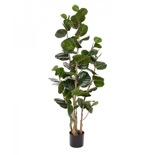 kunststof stammen. Deze kunst Aralia heeft een uitstekende prijs-kwaliteitverhouding. Hij heeft een fiks aantal grote en kleine bladeren