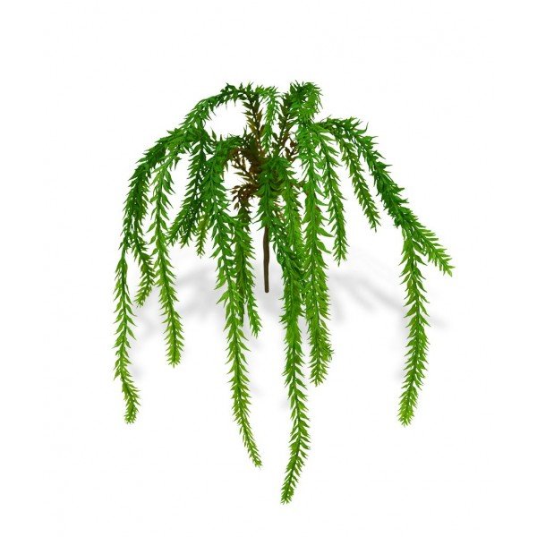 dicht op elkaar gegoten blaadjes. Naar het midden toe worden de blaadjes rood van kleur