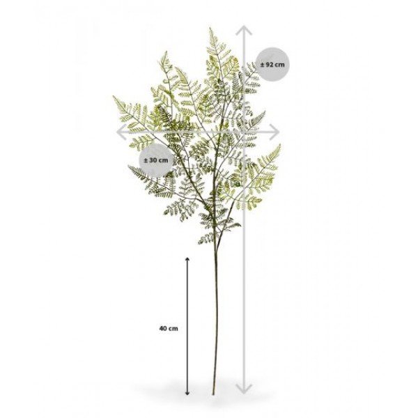 Athyrium-Varen-kunsttak-90-cm-3 afgedekt met verlijmde grond. Standaard wordt de Anthyrium in deze plastic binnenpot geleverd van 18 cm hoog en 16 cm breed.