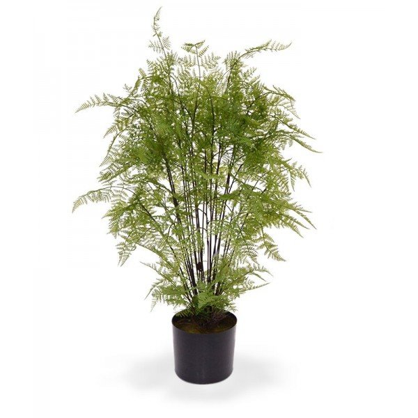 Athyrium kunstvaren 90 cm De frisgroene Anthyrium kunstvaren van 90 cm vormt een vrolijke eyecatcher in elk interieur. Deze kunstvaren heeft een lange bladeren met dubbel gevederde deelblaadjes. Varens zijn er in allerlei soorten en maten. Hij lijkt op de Pteridium