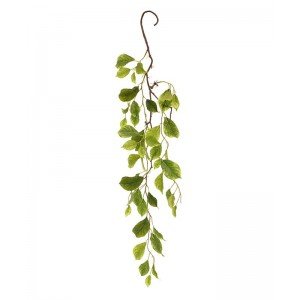 Welke plek gaat u met deze levensechte en zeer delicate Boston Hedera hangtak opvrolijken? Dankzij de zijdezacht afgewerkte en gedetailleerde bladtekening is het net alsof de opstaande en naar de zon toegroeiende bladeren tot leven komen. Voel ze maar eens….. levensecht