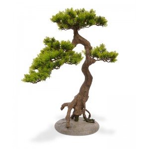 Deze Cedar kunst Bonsai 55 cm op voet verdient in elk interieur een bijzondere plek. De Cedar Bonsai ziet natuurgetrouw uit