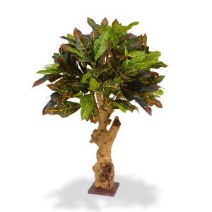 Niet van echt te onderscheiden is deze Croton 80 cm op voet. De grote verscheidenheid aan bladgrootte en bladprint zorgen ervoor dat deze kunstplant een echte eye-catcher is. Gebouwd op een dikke houten stam is deze kunstplant 80 cm hoog