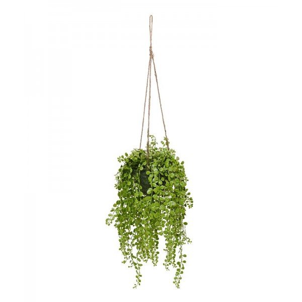 Wat een vrolijkheid haalt u in huis of