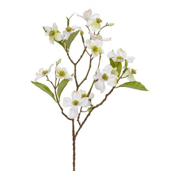 Deze crèmekleurige dogwood kunsttak geeft uw interieur een frisse uitstraling. Dogwood wordt ook wel kornoelje genoemd en heeft wat weg van een bloesemtak. Dat maakt de tak zeer geschikt om het hele jaar een beetje lente in huis te halen. Dankzij de neutrale crèmekleur past de tak in vrijwel elke woonstijl. De kornoelje (in het Latijn Cornus) is gemaakt van hoogwaardig kunststof. De Dogwood tak is zeer gedetailleerd nagemaakt en heeft bloemen in verschillende groottes
