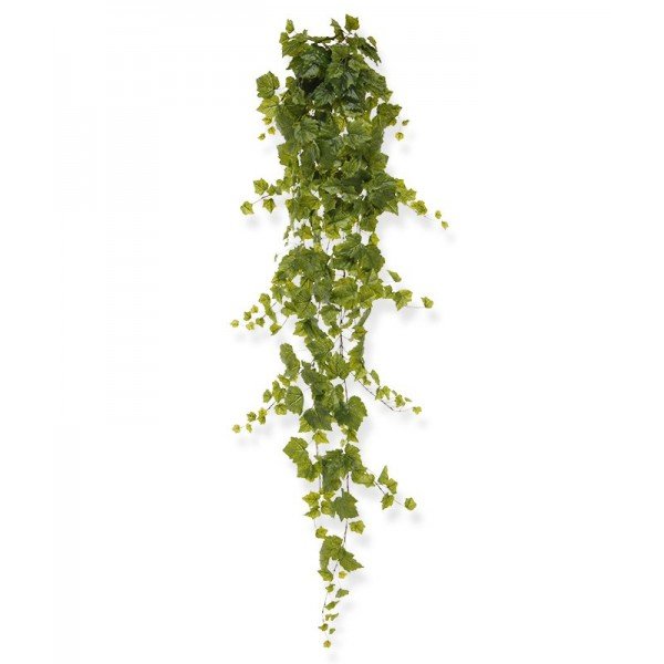 Deze Druivenblad kunsthanger 175 cm wordt vaak gebruikt in cafés en restaurants en vormt de perfecte groene decoratie. De lengte maakt deze druivenrank zeer geschikt om hoge ruimtes te decoreren. Hang de slinger hoog in de hoek