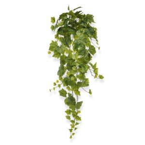 Druivenbladeren worden vooral in horecagelegenheden regelmatig als groene decoratie gebruikt. Deze Druivenblad kunsthanger 90 cm geeft elk interieur direct een zuidelijk tintje en zorgt meteen voor sfeer. De bladeren hebben een gedetailleerde print en zijn frisgroen van kleur met een lichtgroene nerf. De bladeren hebben een stevige kwaliteit. Door de variatie qua afmeting en kleurstelling