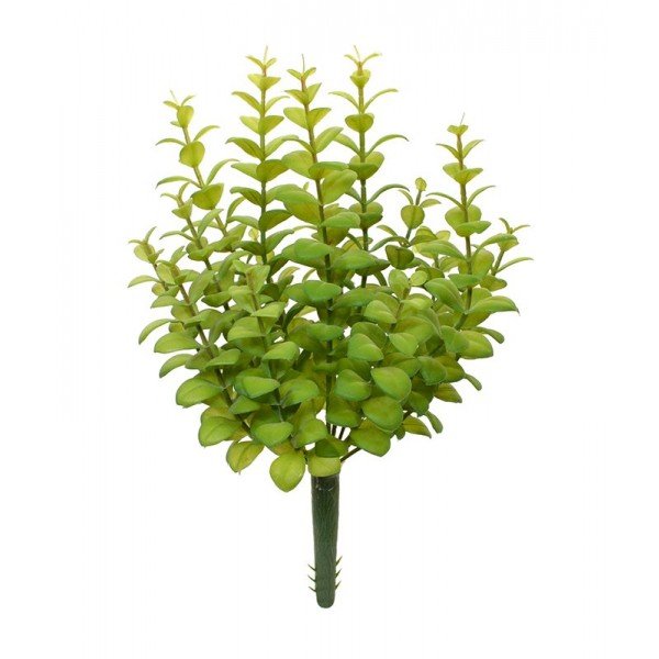 op werk of in vrije tijd genieten van dit trendy Eucalyptus kunstboeket 30 cm in groen? Deze bijzondere en geneeskrachtige plant uit de mirtefamilie (Myrtaceae) is met zijn natuurgetrouwe uiterlijk en karakteristieke bladeren perfect voor op tafel of in de vensterbank! Het tropische Eucalyptus kunst boeket