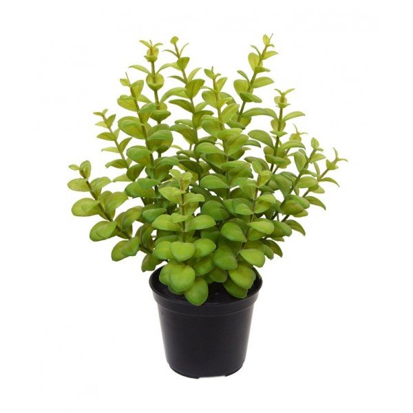 is met zijn karakteristieke uiterlijk een aanwinst voor op tafel of in de vensterbank! Deze tropische Eucalyptus kunst plant