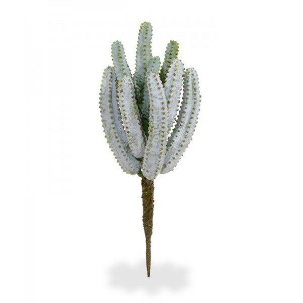 Wat een stoere verschijning is deze Euphorbia kunstcactus. Wat een mooie grijze matte laag om die stekels heen en wat voelt dat toch echt! Deze cactusachtige lijkt wel regelrecht uit een Western film. Wat een verrijking zal dat in uw groene oase of Urban Jungle thuis