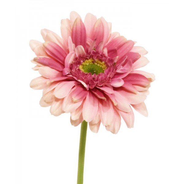 Nieuw - Gerbera kunst steelbloem 31 cm zacht roze