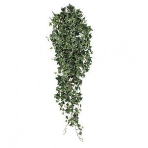 Deze hedera ziet er wel heel natuurlijk uit. Door zijn diversiteit aan blaadjes in verschillende groottes en afmetingen zal menigeen moeite hebben om te zien dat het hier om een kunstplant gaat!De lengte van de hedera is 120cm en de bladkleur is groen-bont.Profiteer van de voordeelprijs vanaf 6 stuks.