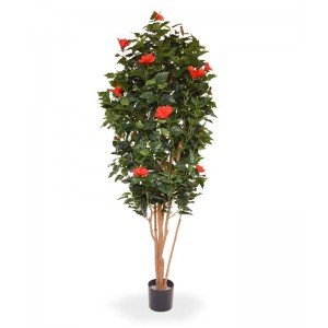 De prachtige rode bloemen van de Hibiscus kunstplant 175 cm rood zorgen voor een vrolijke kleurexplosie. Deze bloeiende kunstboom wordt vaak bij de voordeur van een woning of kantoor neergezet om wat kleur aan het interieur te geven. Dat zorgt direct voor een warm welkom. Door de grote variatie aan groene bladeren en gekleurde rode bloemen ziet deze bloeiende semi-zijden kunstboom er bijzonder natuurlijk uit. De stammen waarop deze kunst Hibiscus is gebouwd zijn gemaakt van echt hout. De bloeiende Hibiscus kunstplant