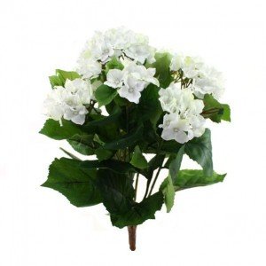 Dit schitterende zijden Hortensia boeket is net echt! Het boeket is opgebouwd uit diverse takken en zijtakken en heeft 6 grote bloemen. Met zijn vele grote en kleine bladeren in verschillende tinten is dit zijdeboeket een lust voor het oog. De kunsthortensia wordt zonder pot geleverd zodat de kunstplant gemakkelijk in uw eigen pot opgestoken kan worden. De hoogte van de totale plant