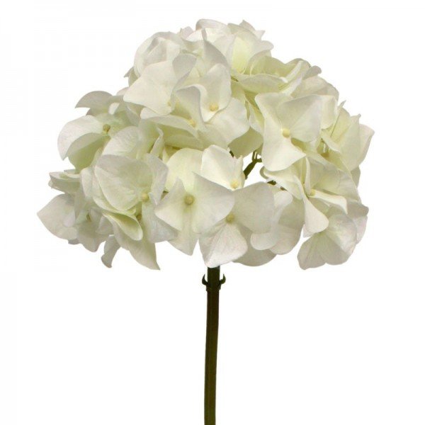 Deze schitterende kunst Hortensia steelbloem is net echt! De stengelbloem is opgebouwd uit een enkele steel met daarop een grote zijden Hortensia bloem. Door zijn vele vertakkingen meet de kunstbloem 20 cm breed en telt deze wel 60 bloemetjes! De kunst Hortensia wordt standaard als losse stengelbloem geleverd en kan daardoor makkelijk verwerkt worden tot prachtige kunstboeketten. De kunststeel heeft een lengte van ongeveer 47 cm en is verkrijgbaar in het wit en groen. Vanaf 12 stuks kunt u gebruik maken van de voordeel prijs.