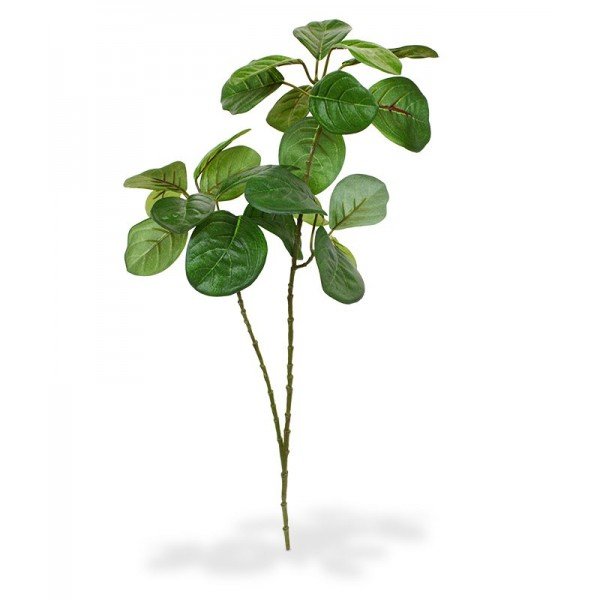 Ook weer zo'n bijzondere aanwinst deze Jackfruit kunsttak. Wellicht kent u die enorm grote vruchten die aan de groenblijvende boom uit Azië groeien niet