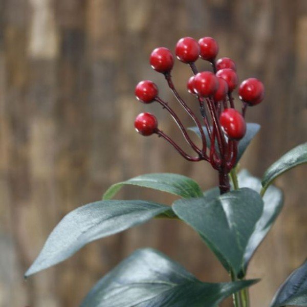 Kunst-Bessentak-Deluxe-55-cm-rood-3 35 donkergroene blaadjes en is beschikbaar in een groene en rode variant. De nagemaakte bloeiende kunsttak wordt standaard als losse steel geleverd en kan daardoor decoratief verwerkt worden in prachtige kunstboeketten. De kunststeel heeft een lengte van ongeveer 56 cm. De breedte bedraagt ongeveer 25 cm. Vanaf 12 stuks kunt u gebruik maken van de voordeel prijs.