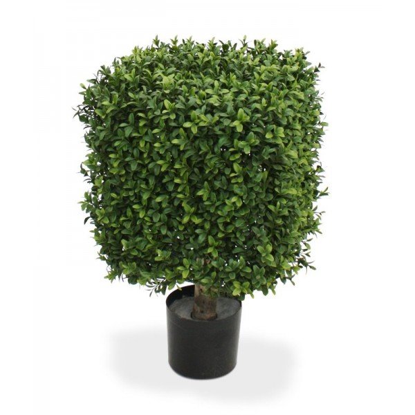 Werkelijk uniek in de kunstplanten wereld is deze UV bestendige Buxus Square. Omdat de UV-protector in de grondstof is verwerkt kunnen wij de garantie geven dat deze kunstbuksus gedurende 8 jaar lang niet verkleurt! De vierkante vorm is nieuw aan ons assortiment toegevoegd en geheel gemaakt van een hoogwaardig pvc. Daardoor is deze UV kunstboom ideaal om buiten mooie decoraties mee te maken. De vernieuwde versie is met name door zijn kleur en nieuwe blaadjes bijna niet meer van de echte Buxus te onderscheiden! De kunstbuxus meet aan alle zijden ongeveer 30 cm en wordt standaard geleverd in een plastic pot. De Buxus Square is ook leverbaar in de maten 40 en 50 cm.
