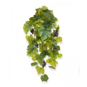 Geniet van deze levensecht ogende én voelende Kunst Druivenhanger en waan u in Mediterrane sferen. Dankzij de unieke Real Touch behandeling is het net alsof de nerven en tekening van het blad tot leven komt en u ze daadwerkelijk kunt voelen. En vrolijk contrast met de zorgvuldig verstopte blauwpaarse druiventrossen. De bladeren hebben een mooie bladprint
