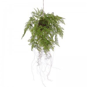 Nieuw: Kunst Hangvaren arrangement 35 cm aan touw