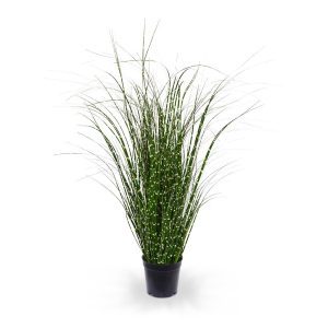 Dit speelse kunst Zebragras 60 cm