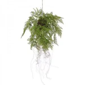 Kunst Hangplanten