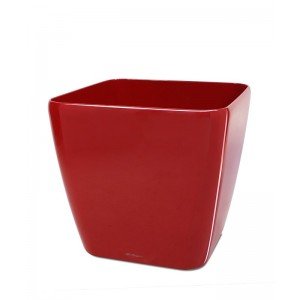 The soft edges of the Lechuza Quadro planter make this the perfect combination between a round and a square planter! The Lechuza Quadro is suitable for both indoors and outdoors and comes in several colours and sizes: - 28x28x26 cm