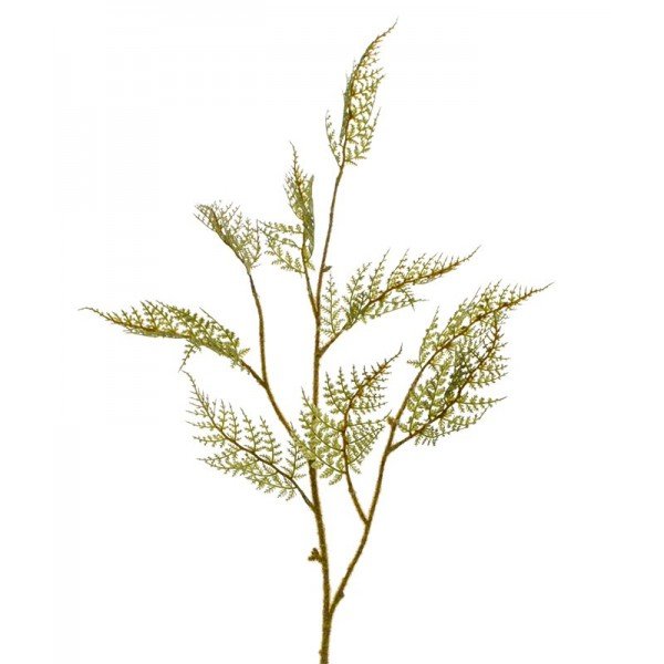 Deze dubbel geveerde Ledervaren tak is bijzonder gedetailleerd nagemaakt. Zo ontspringen de delicaat nagemaakte frisgroene blaadjes uit een steel die met unieke coating bedekt is en daardoor levensecht aanvoelt. De perfecte decoratie in boeketten of met meerderen opgestoken in sierpotten of vazen. De vertakte kunststof steel heeft een natuurgetrouwe print met een levensecht gevoel dankzij de natuurgetrouwe haartjes op de steel. Door de vernieuwde en stevige constructie met ijzerdraad in de stelen is deze tak perfect te buigen. De lengte is ongeveer 92 cm