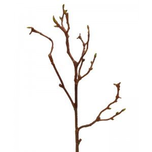 Deze kunst Magnolia houttak 50 cm is bijzonder geschikt om te verwerken in kunst bloemstukken en boeketten. De kunsttak is gemaakt van een hoogwaardige pvc soort