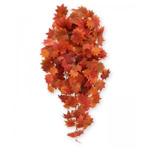 Met deze nieuwe Maple Herfsthanger 90 cm haalt u direct de herfst in huis! Door de grootte en dichtheid van de bladeren en natuurlijk de frisse herfstkleuren is deze kunst hangplant perfect geschikt in horeca en als winkeldecoratie om die herfst sfeer te creëren. De lengte van de kunstzijden Maple ongeveer 90 cm. De breedte is ongeveer 35 cm. Profiteer van de voordeel prijs vanaf 6 stuks.