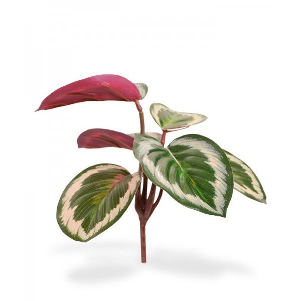 Wie een schattig en charmant veelzijdig kunstplantje voor op tafel of de vensterbank zoekt