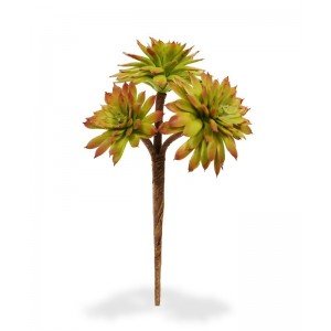 Wat een leuke aanwinst is deze mini red Echeveria kunsttak