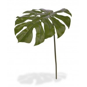 Deze natuurgetrouwe Monstera bladtak 75 cm wordt veel gebruikt als enkele