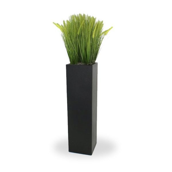 Pennisetum Grasplant Deluxe 140cm in luxe zuil Strak vormgegeven Pennisetum Kunst Grasplanten