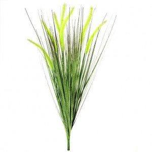 Dit luxe Pennisetum Pluimgras boeket is perfect te gebruiken om plantenbakken mee op te steken. Door zijn opbouw staat het pluimgras bijzonder goed op hoge potten