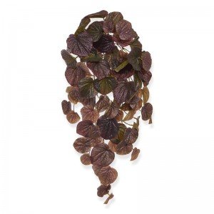 Nieuw: Peperomia Caperata kunsthanger 60 cm burgundy