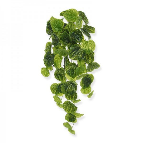 Nieuw: Peperomia Caperata kunsthanger 60 cm groen