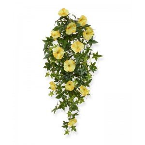 Wordt deze levensechte Petunia kunsthangplant 70 cm geel uw nieuwe hangende decoratie? Dat wordt genieten geblazen van de intens geel gekleurde delicate bloemblaadjes die vrolijk afsteken tegen de frisgroene en stevige bladeren. Deze kunstig nagemaakte hangpetunia is een unieke sfeermaker in huis