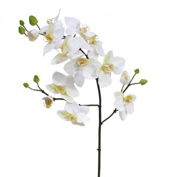 Deze mooi nagemaakte kunstbloem is een kopie van de best verkochte Orchidee van Nederland: De Phalaenopsis Orchidee! Onze kunst Phalaenopsis Tak x3 90 cm wit is zeer gedetailleerd nagemaakt met verscheidene zijtakken