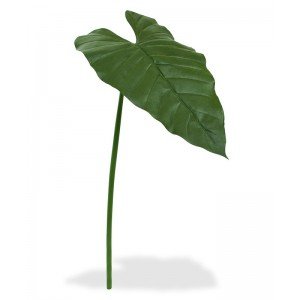 Deze Philodendron bladtak is perfect voor degenen die wél groen in huis willen