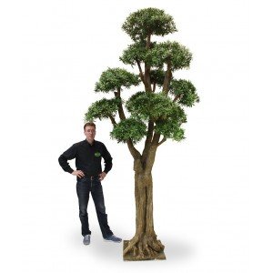Als u op zoek bent naar een grote eyecatcher dan is deze kunstzijden Podocarpus Giant Deluxe kunstboom een fantastische keuze! De Podocarpus Giant telt 14 kronen welke gemonteerd zijn op echte houten stammen. Deze stammen zijn op hun beurt weer gemonteerd op een speciaal nagemaakte dikke boomstam van Polystone