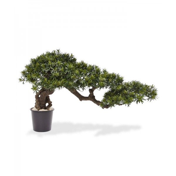 Nieuw - Podocarpus kunst Bonsaiboom 70x130 cm