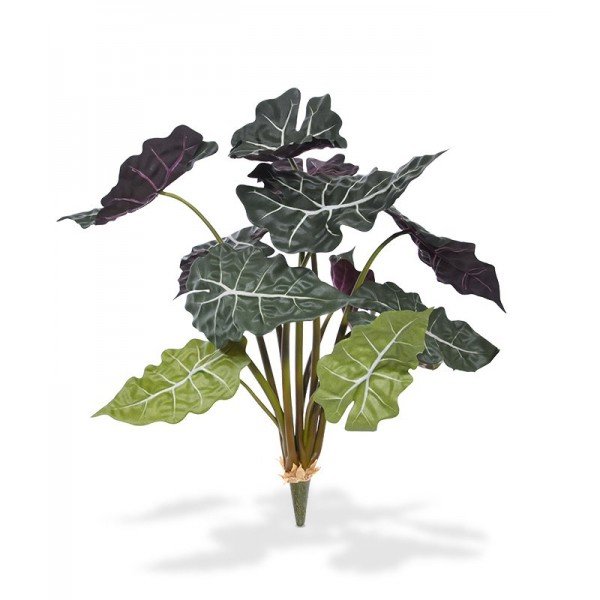 De Alocasia Red kunstplant 60 cm is een mooi en bijzonder exemplaar