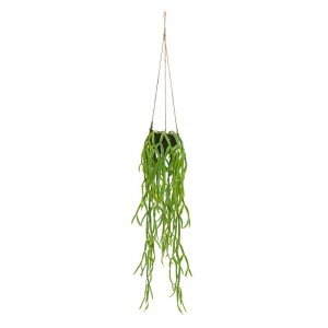Laat u deze Rhipsalis Paradoxa kunsthanger in mosmandje solitair in dat mooie hoekje schitteren of gaat u de combinatie aan met andere soorten hangers voor een spannende Urban Jungle? Heeft u de perfect nagemaakte bladeren al gezien? Vertakt