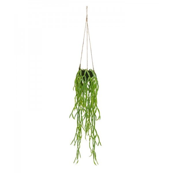 Laat u deze Rhipsalis Paradoxa kunsthanger in mosmandje solitair in dat mooie hoekje schitteren of gaat u de combinatie aan met andere soorten hangers voor een spannende Urban Jungle? Heeft u de perfect nagemaakte bladeren al gezien? Vertakt