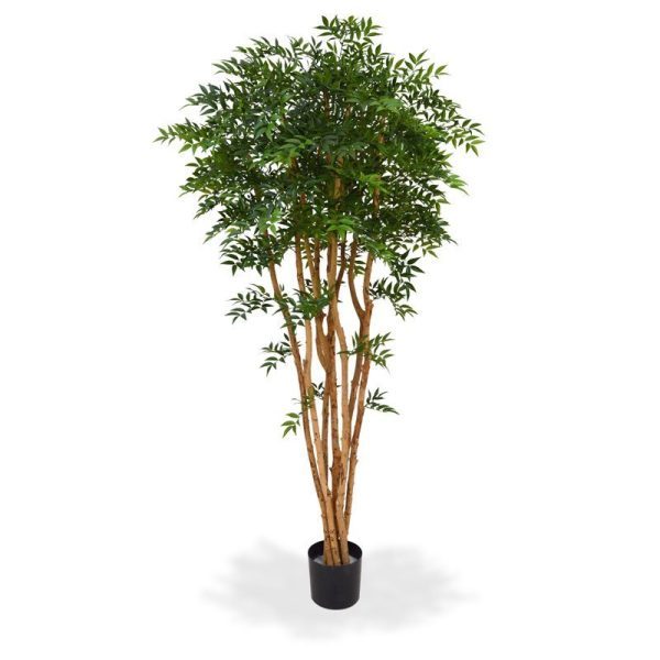 Deze natuurgetrouwe Ruscus Deluxe is een ware sfeermaker van top kwaliteit! De kunstboom is gebouwd op een 7 stammen van echt hout en telt vele geraffineerde