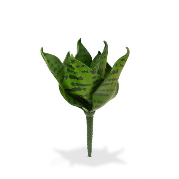 Sanseveria's zijn weer helemaal in! Dit mooi nagemaakte Sanseveria kunstboeketje is een leuke decoratie voor de vensterbank of op een dressoir. Als enkel kunstplantje in een sierpotje