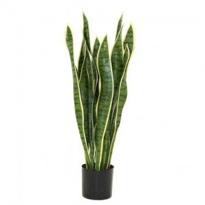 Deze bijzonder goed nagemaakte Sanseveria kunstplant is een mooie decoratie voor de vensterbank of op een leuk dressoir. Bovendien zijn de Sanseveria's weer helemaal in! De hoogte van de Sanseveria kunstplant is ongeveer 70cm